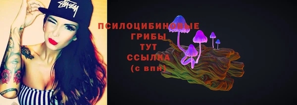 тгк Богданович