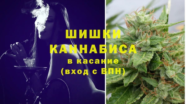 тгк Богданович