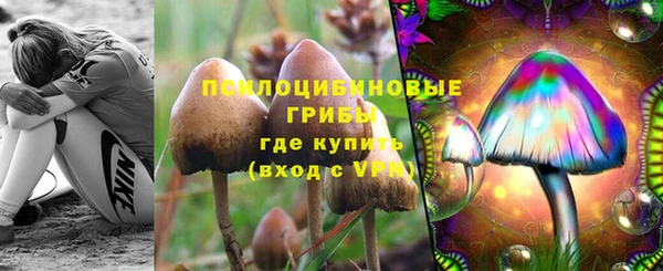 а пвп мука Богородицк