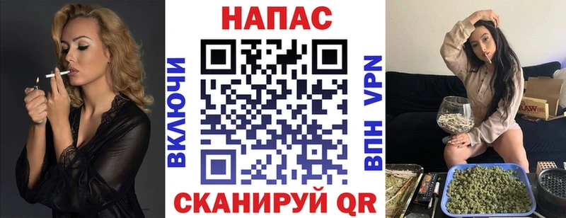 Канабис сатива Краснообск